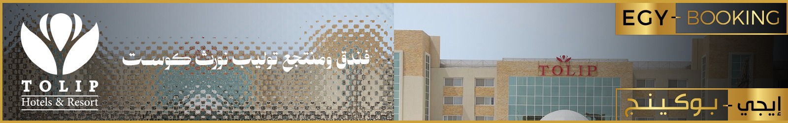 توليب